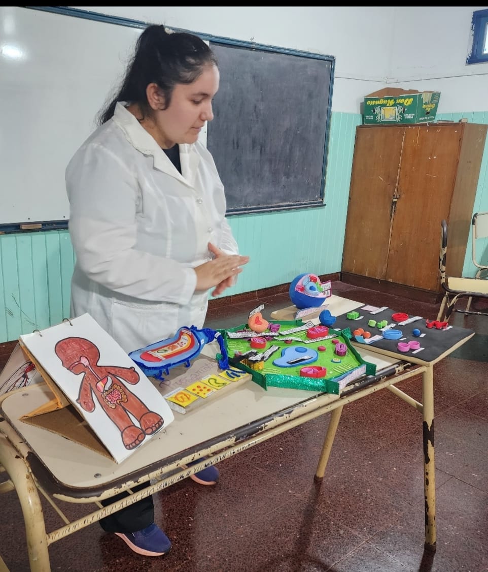Educación Superior